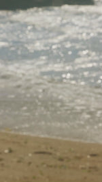 Load and play video in Gallery viewer, Surfrider Jacket